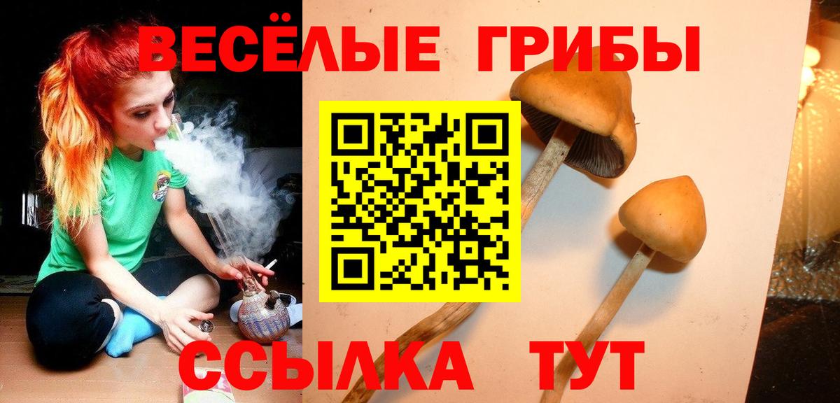 Псилоцибиновые грибы GOLDEN TEACHER  Вход с VPN  Соликамск  Псилоцибиновые грибы ЛСД 